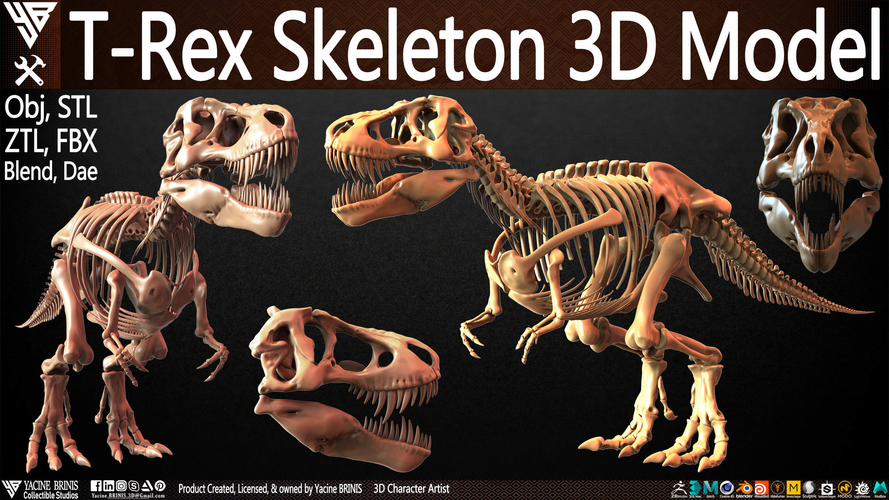 T-Rex Skeleton 3D Model  3D print model_1