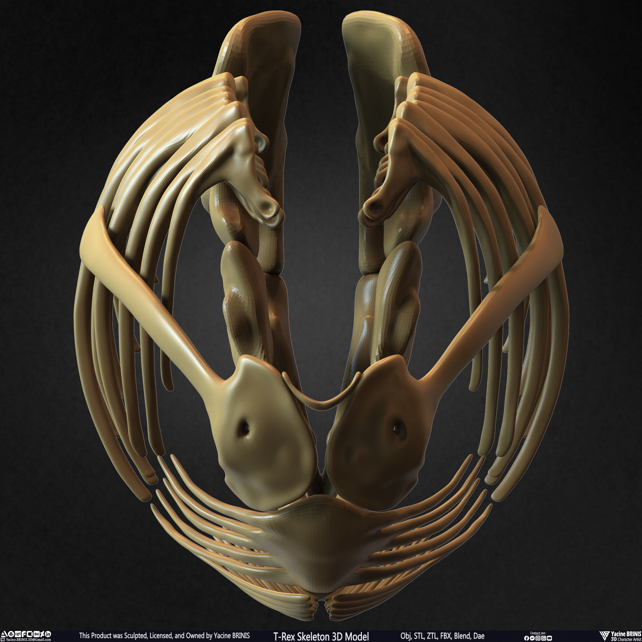 T-Rex Skeleton 3D Model  3D print model_44