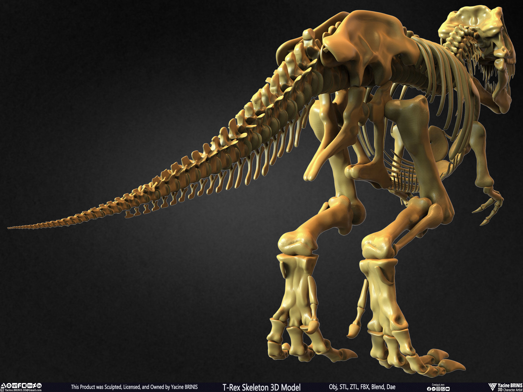 T-Rex Skeleton 3D Model  3D print model_9