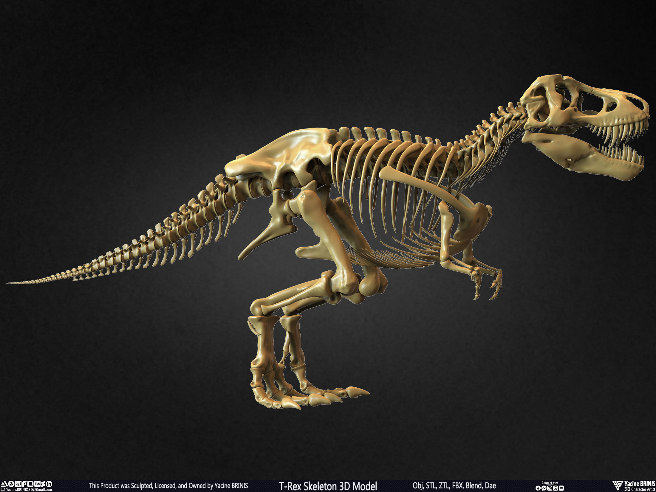 T-Rex Skeleton 3D Model  3D print model_5