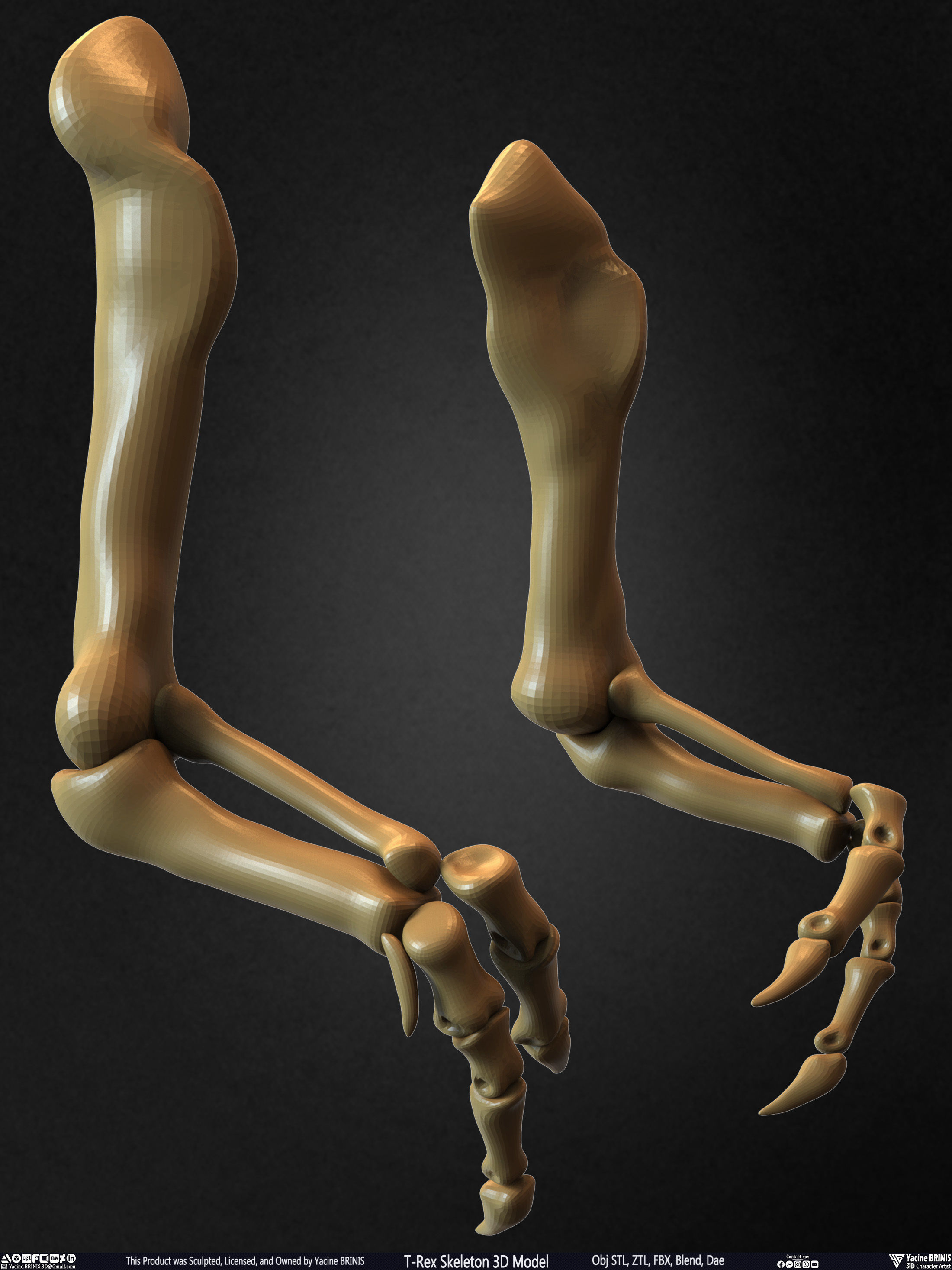 T-Rex Skeleton 3D Model  3D print model_40