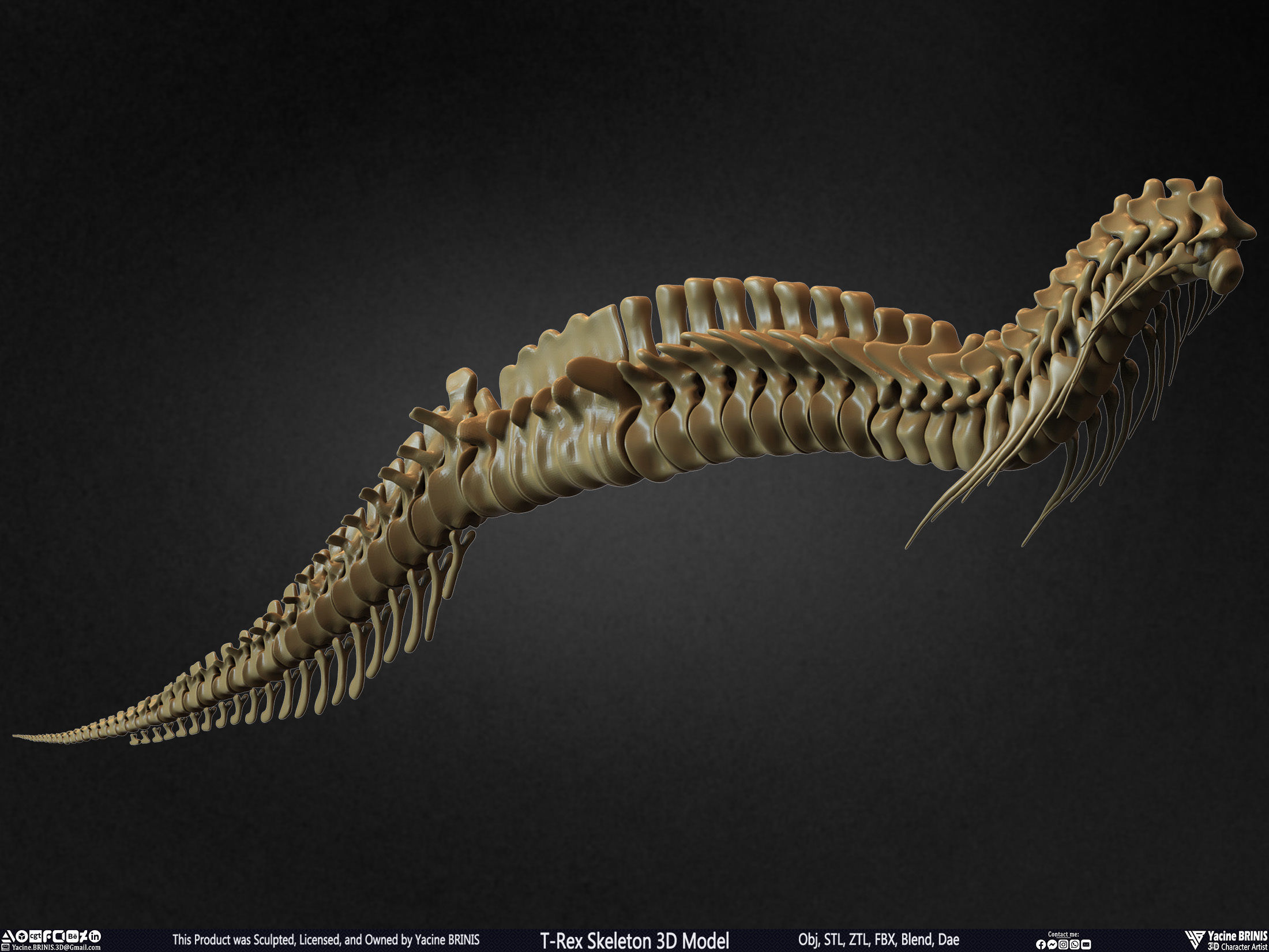 T-Rex Skeleton 3D Model  3D print model_32