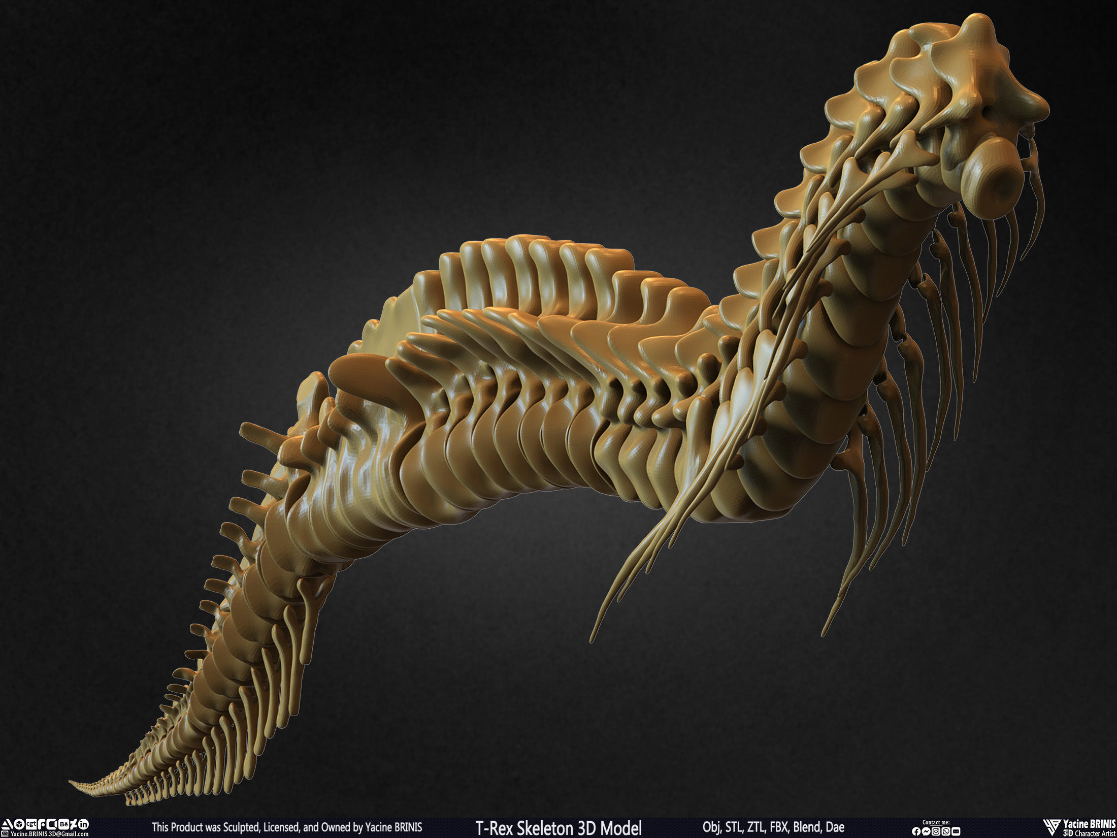 T-Rex Skeleton 3D Model  3D print model_33