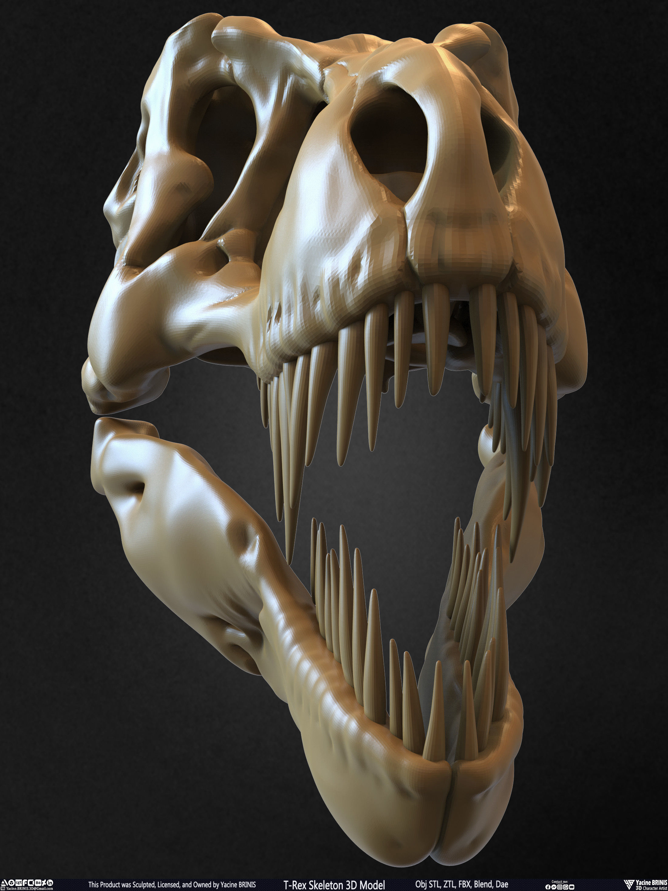 T-Rex Skeleton 3D Model  3D print model_28