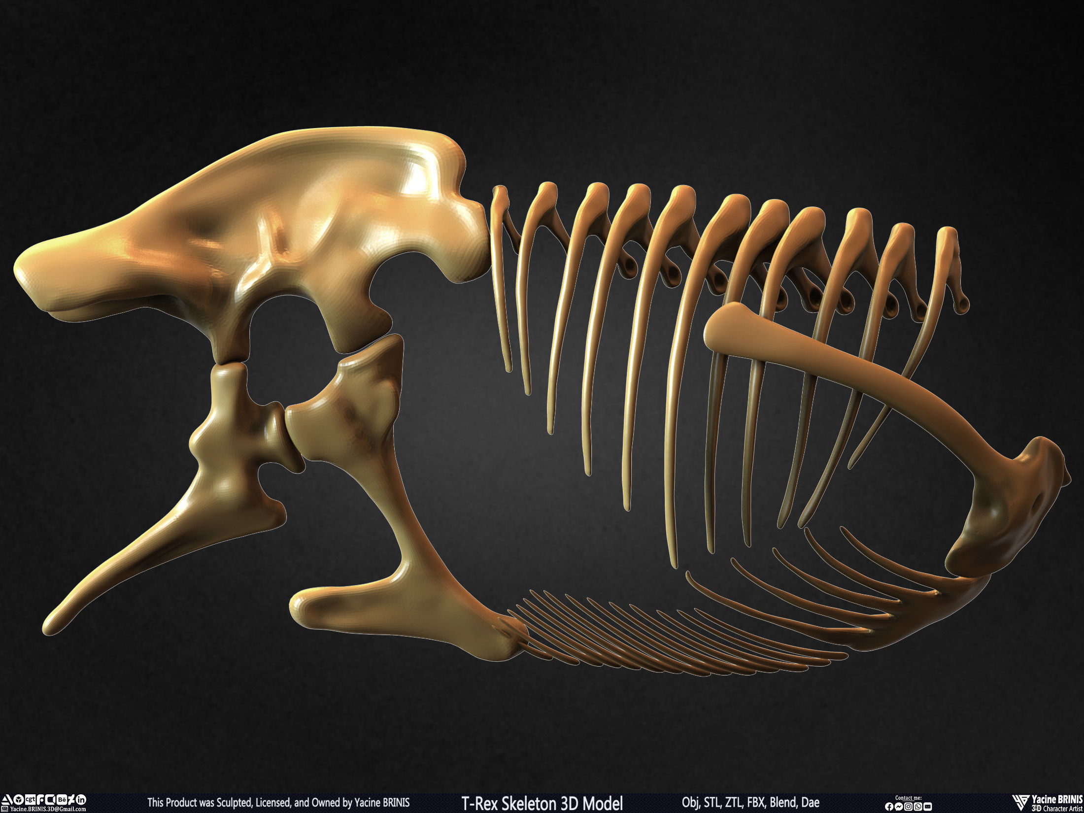 T-Rex Skeleton 3D Model  3D print model_42