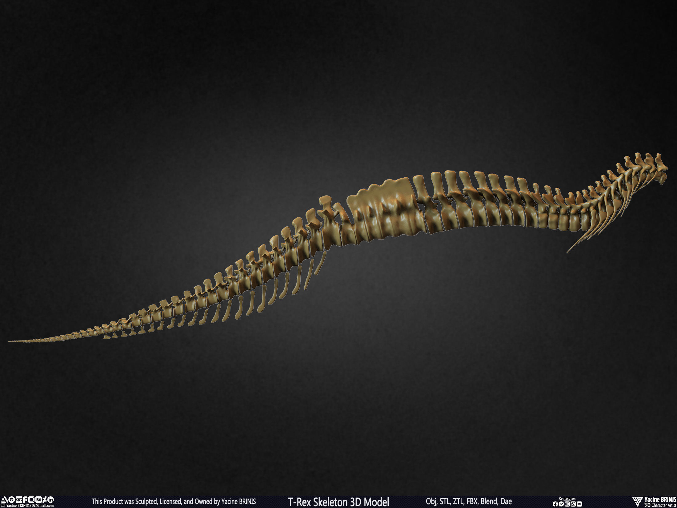 T-Rex Skeleton 3D Model  3D print model_31