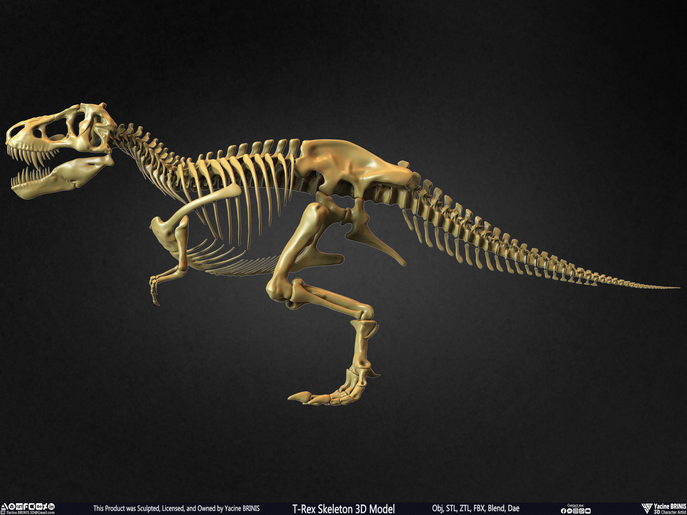 T-Rex Skeleton 3D Model  3D print model_17