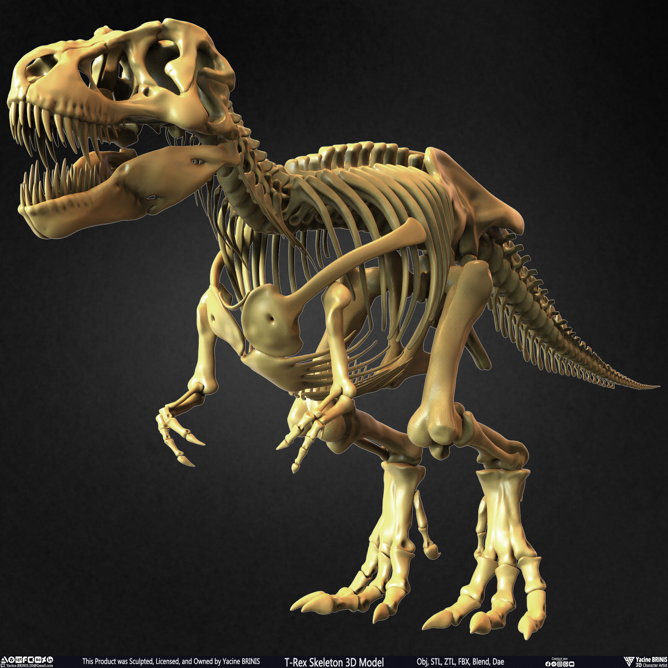 T-Rex Skeleton 3D Model  3D print model_20