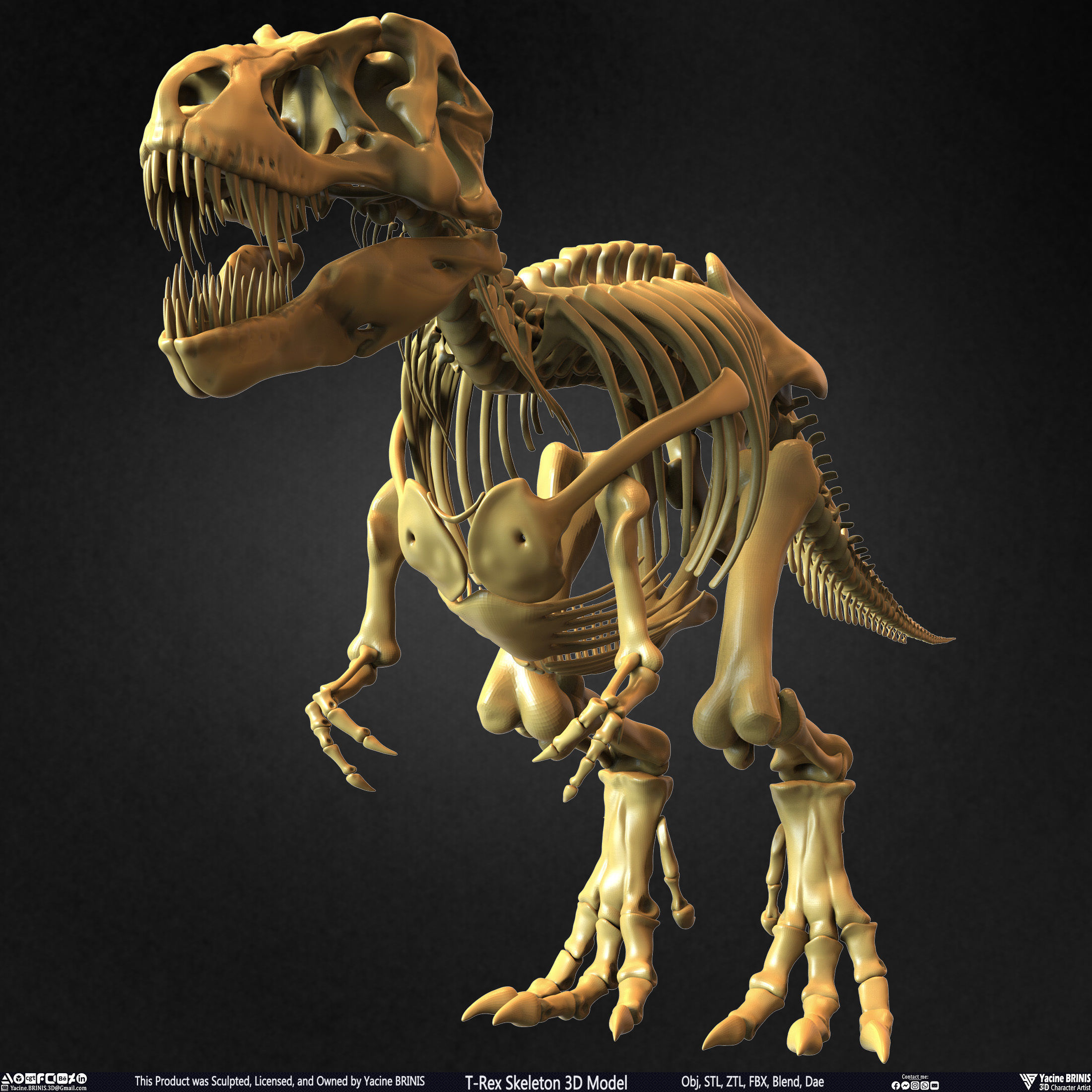 T-Rex Skeleton 3D Model  3D print model_21