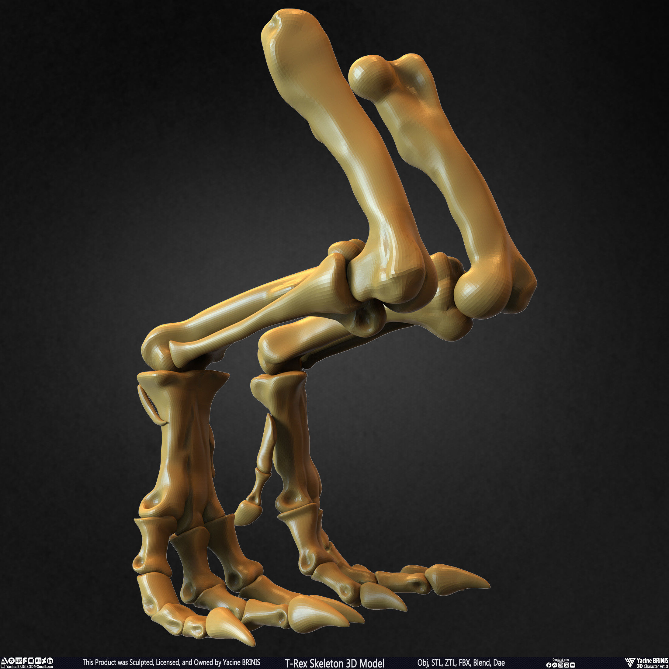 T-Rex Skeleton 3D Model  3D print model_35