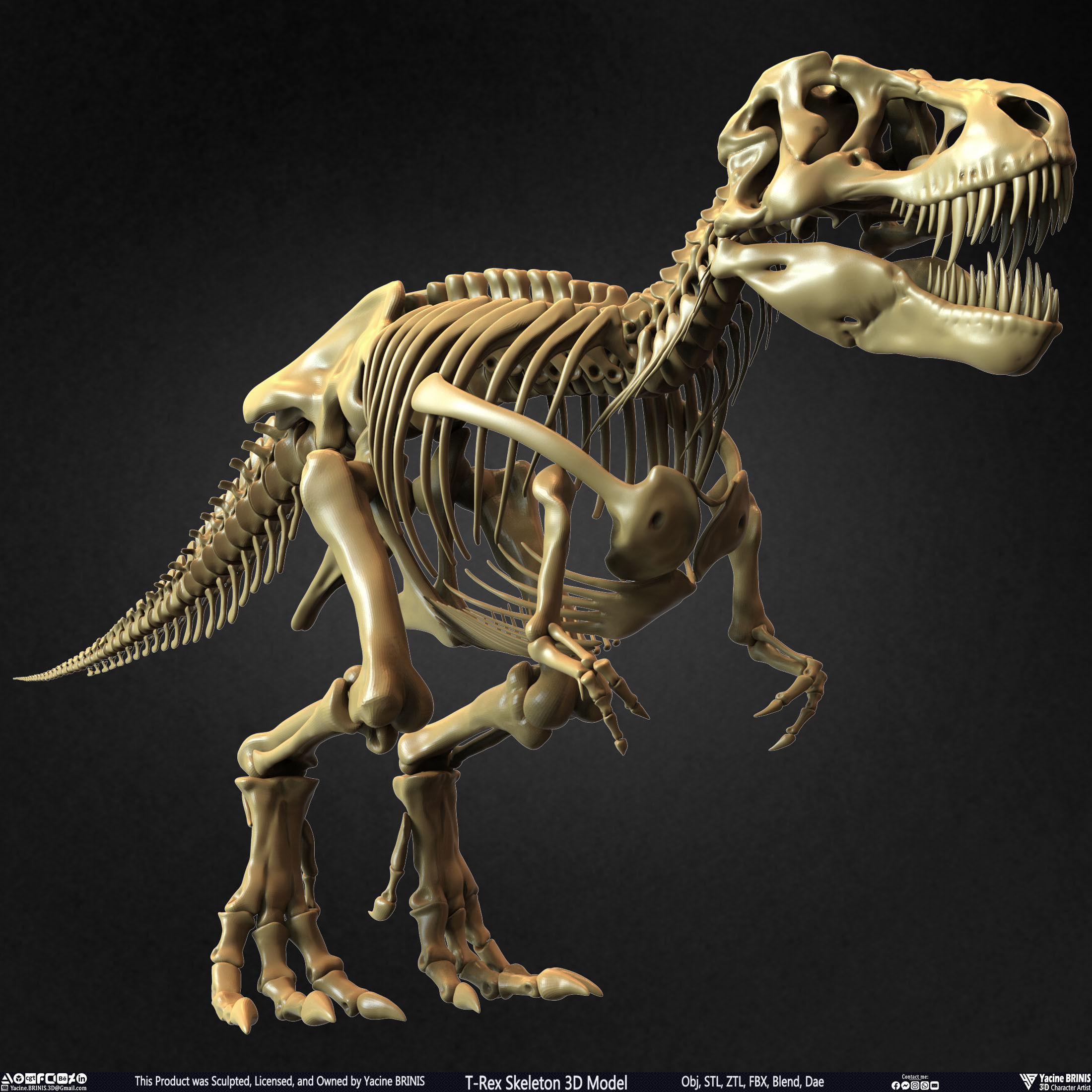 T-Rex Skeleton 3D Model  3D print model_3