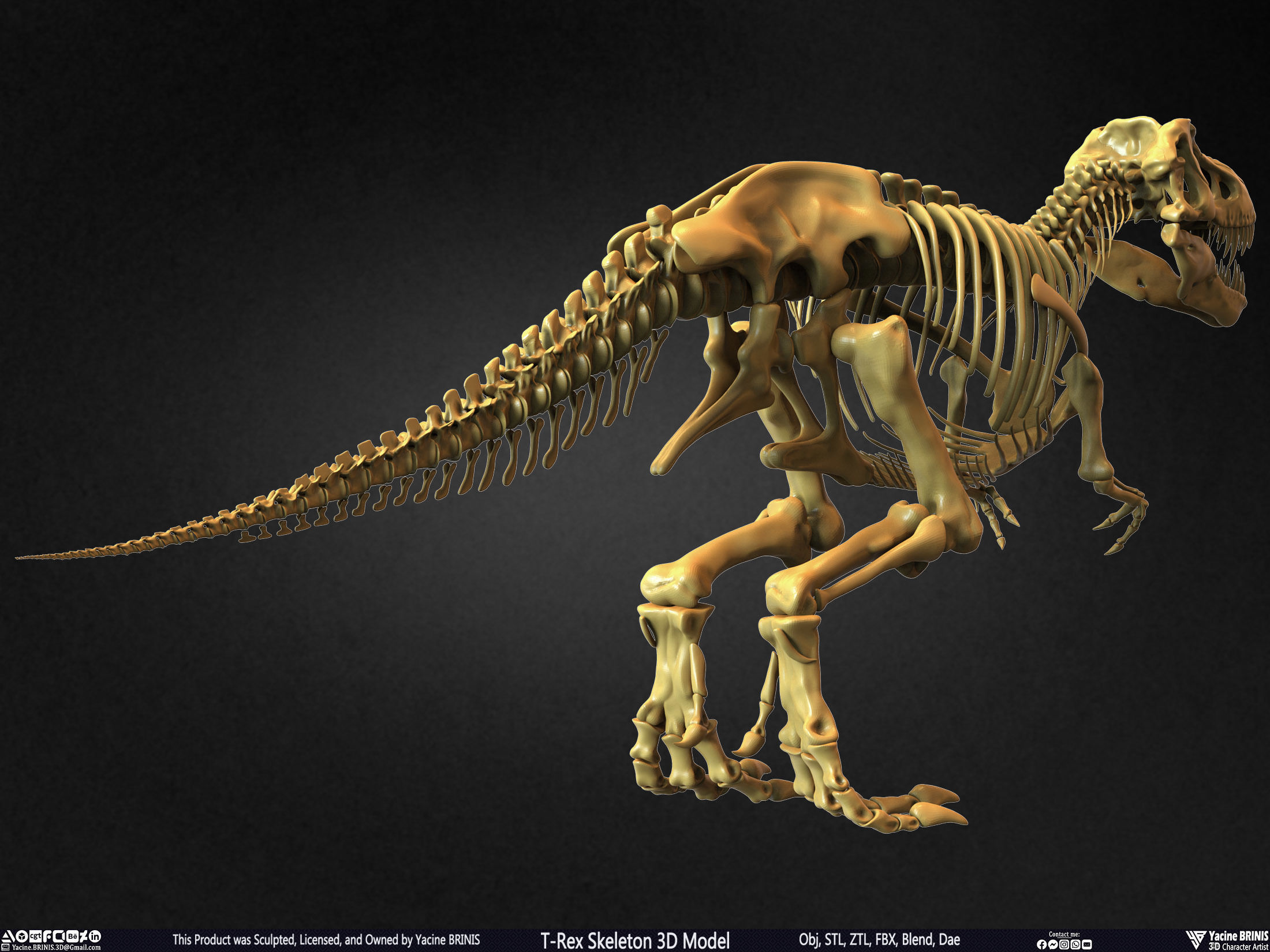 T-Rex Skeleton 3D Model  3D print model_8