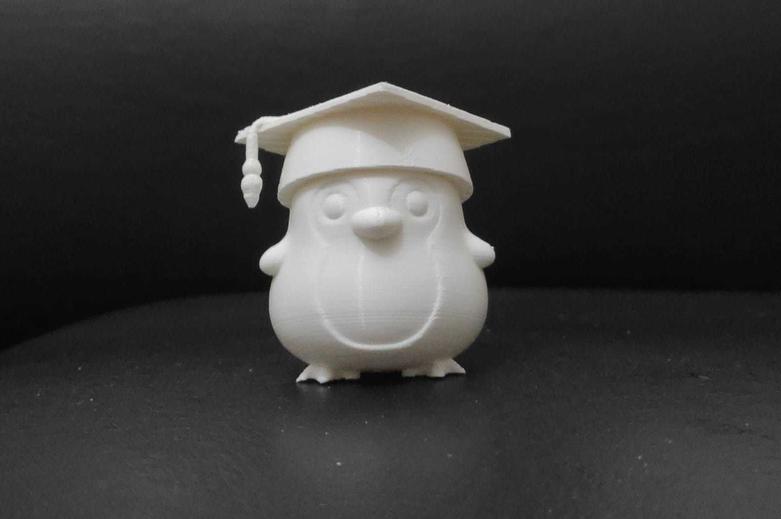 Penguin Graduate 3D print model_12