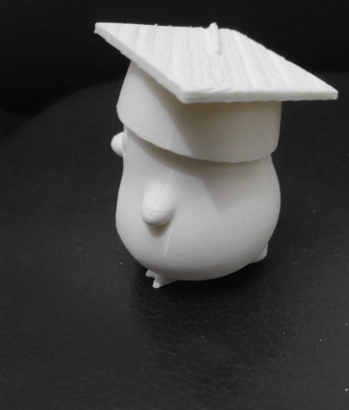 Penguin Graduate 3D print model_7
