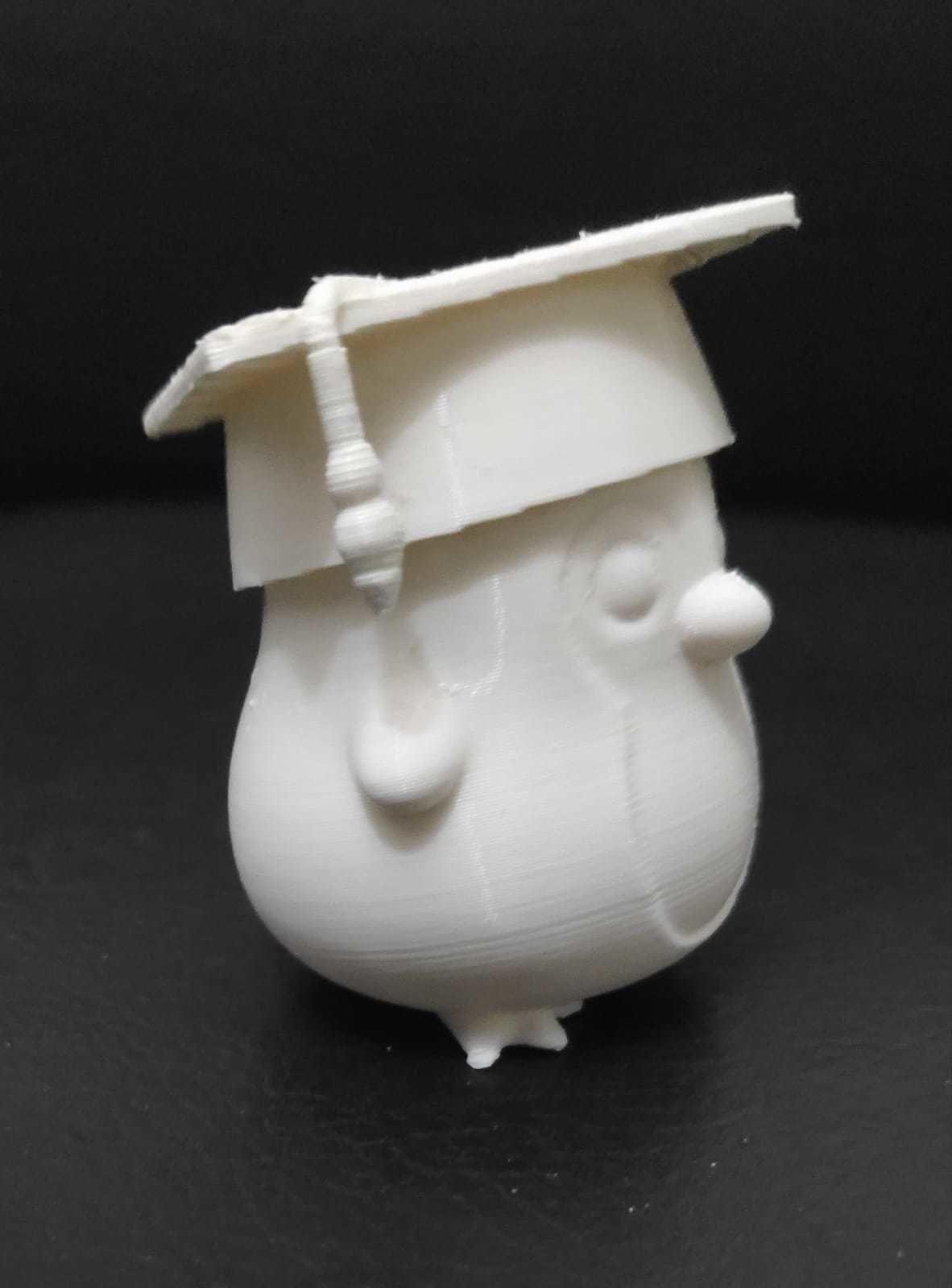 Penguin Graduate 3D print model_11