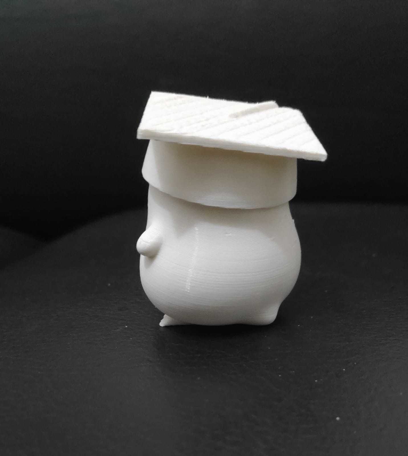 Penguin Graduate 3D print model_8