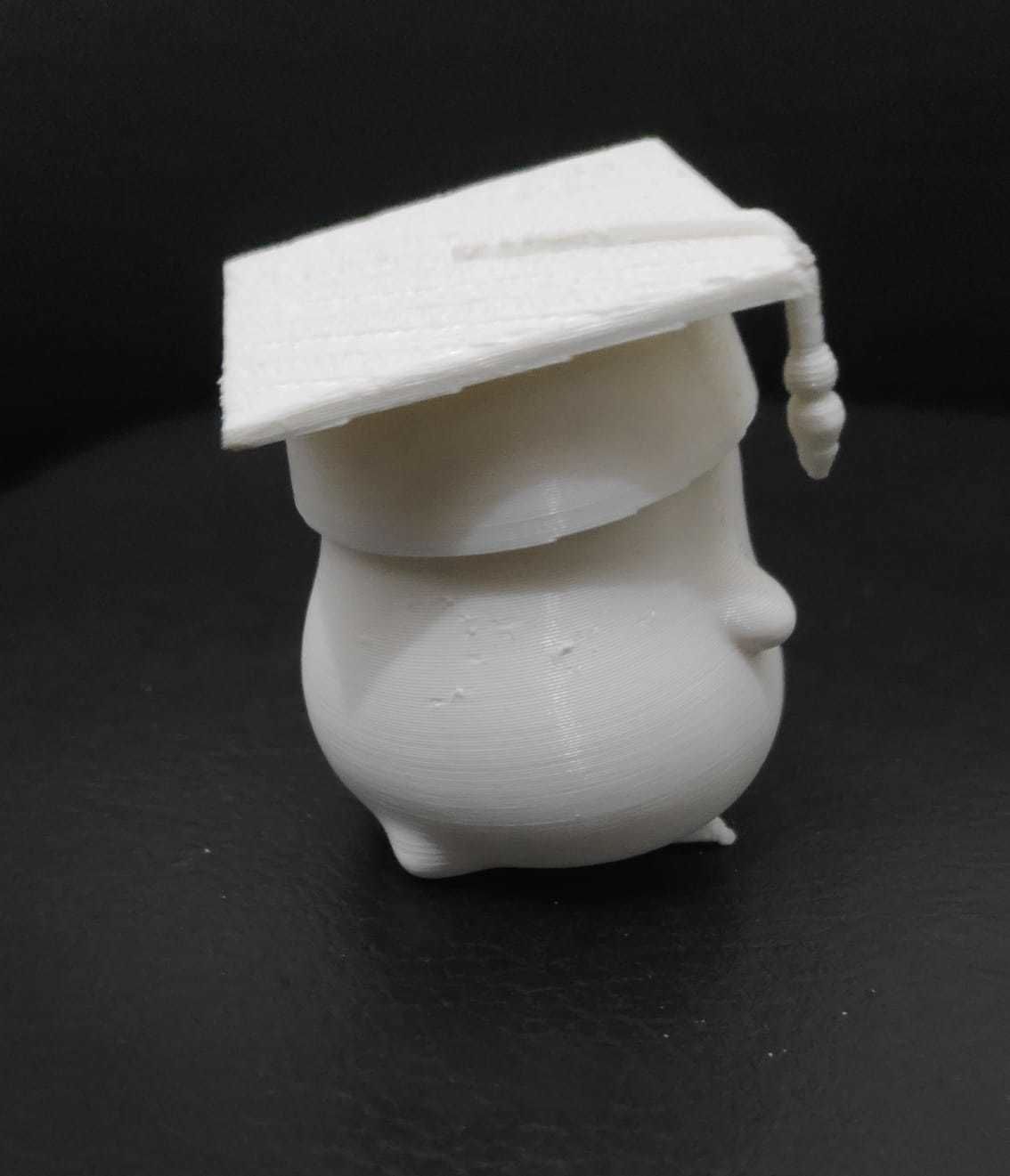 Penguin Graduate 3D print model_9