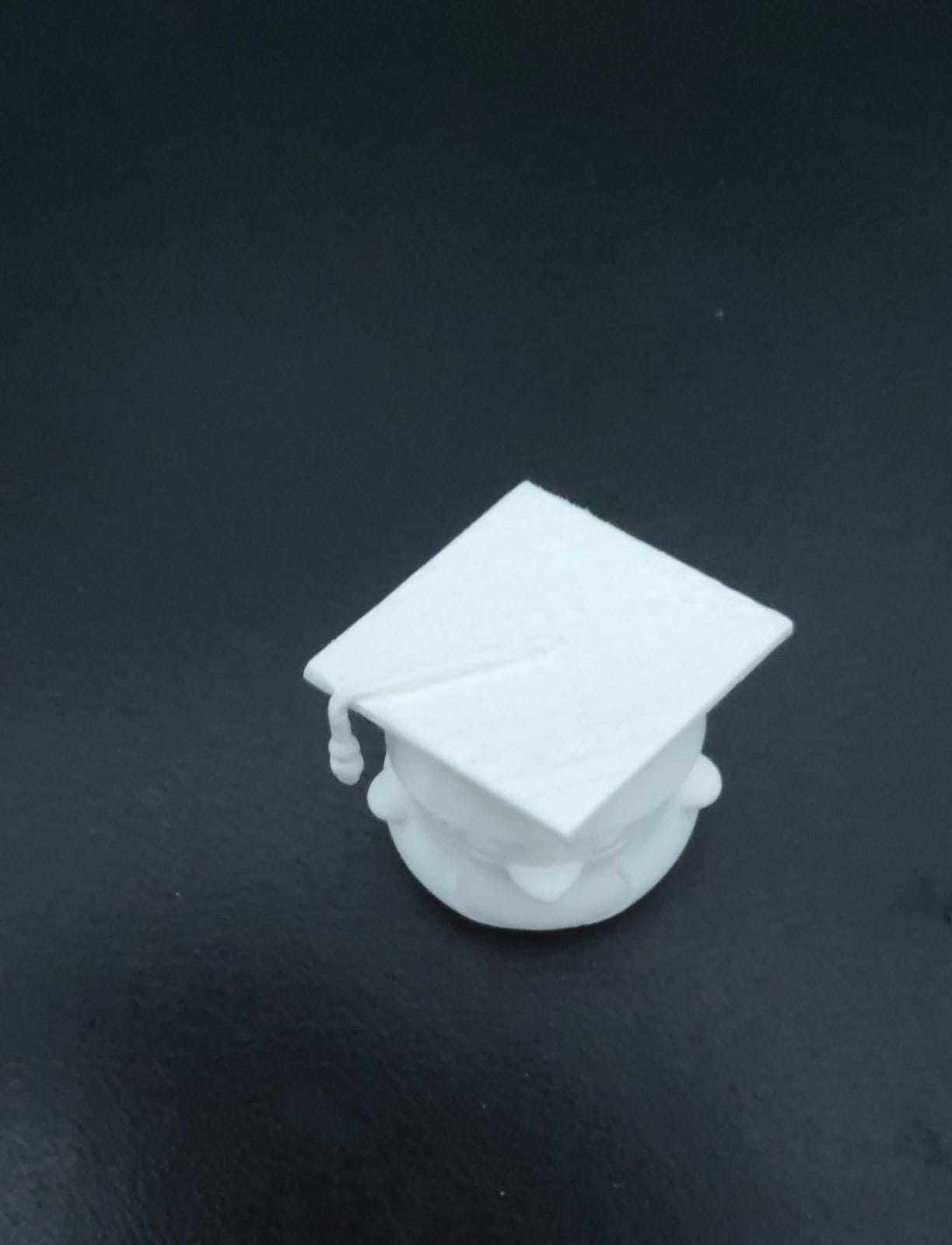 Penguin Graduate 3D print model_14