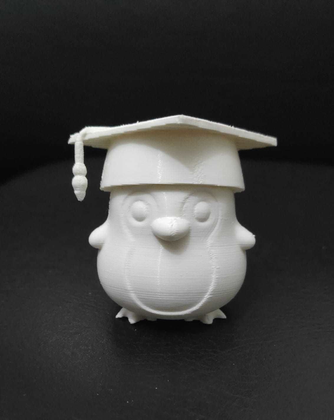 Penguin Graduate 3D print model_4