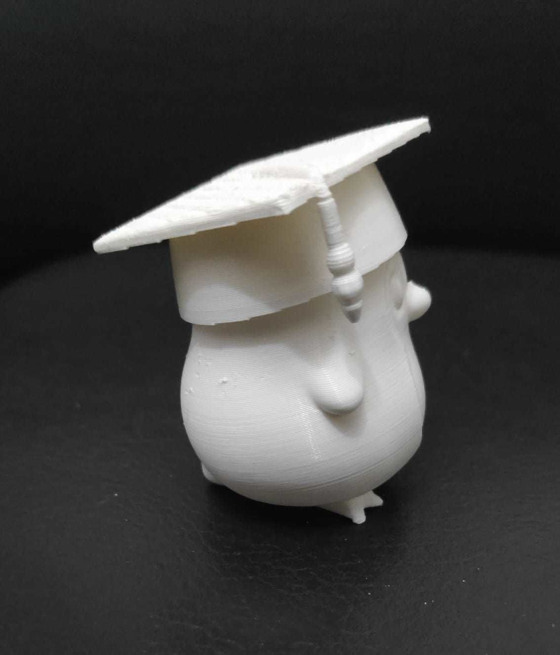 Penguin Graduate 3D print model_10