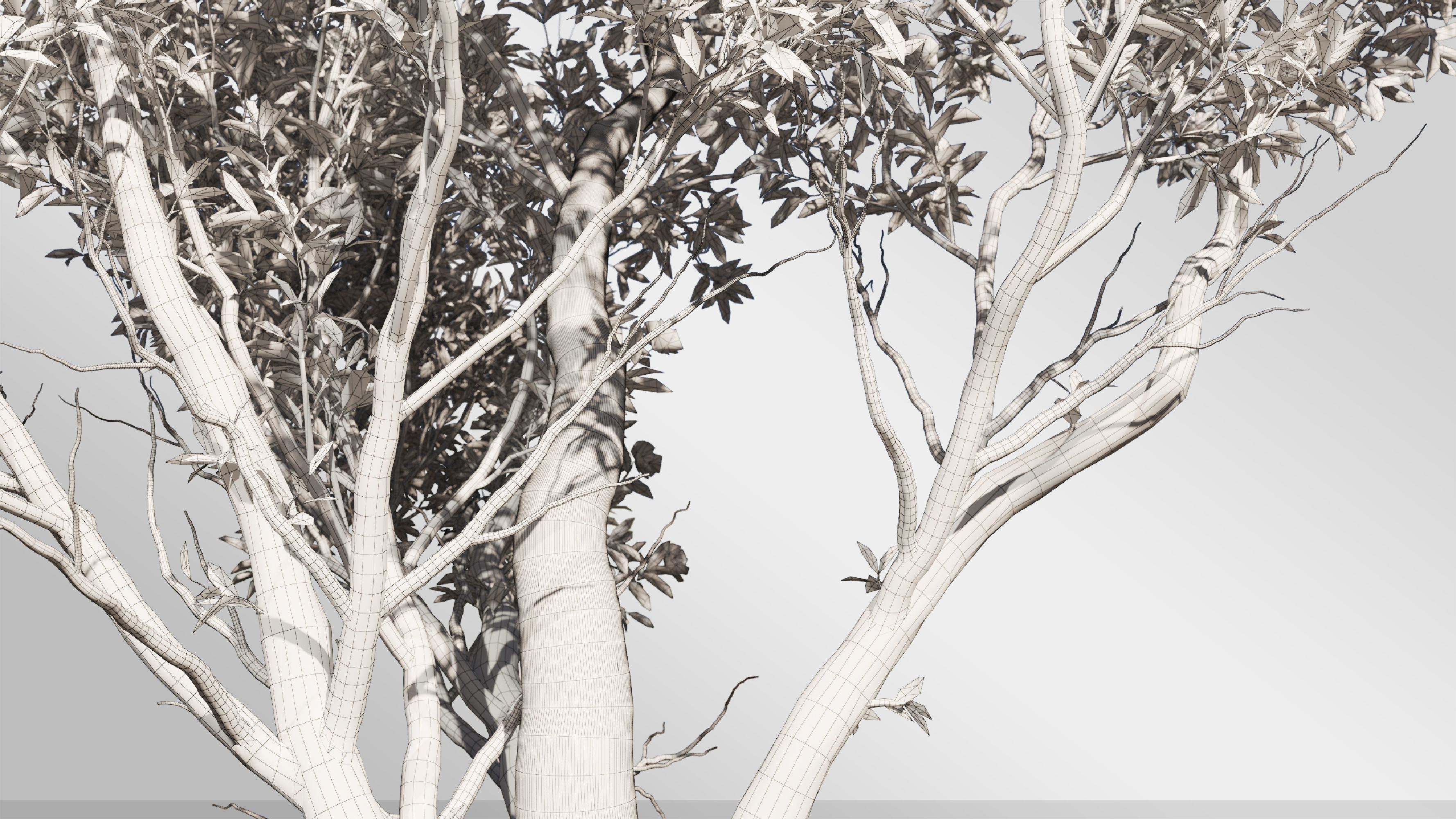 2 Michelia Maudiae Tree Set 3D model_7
