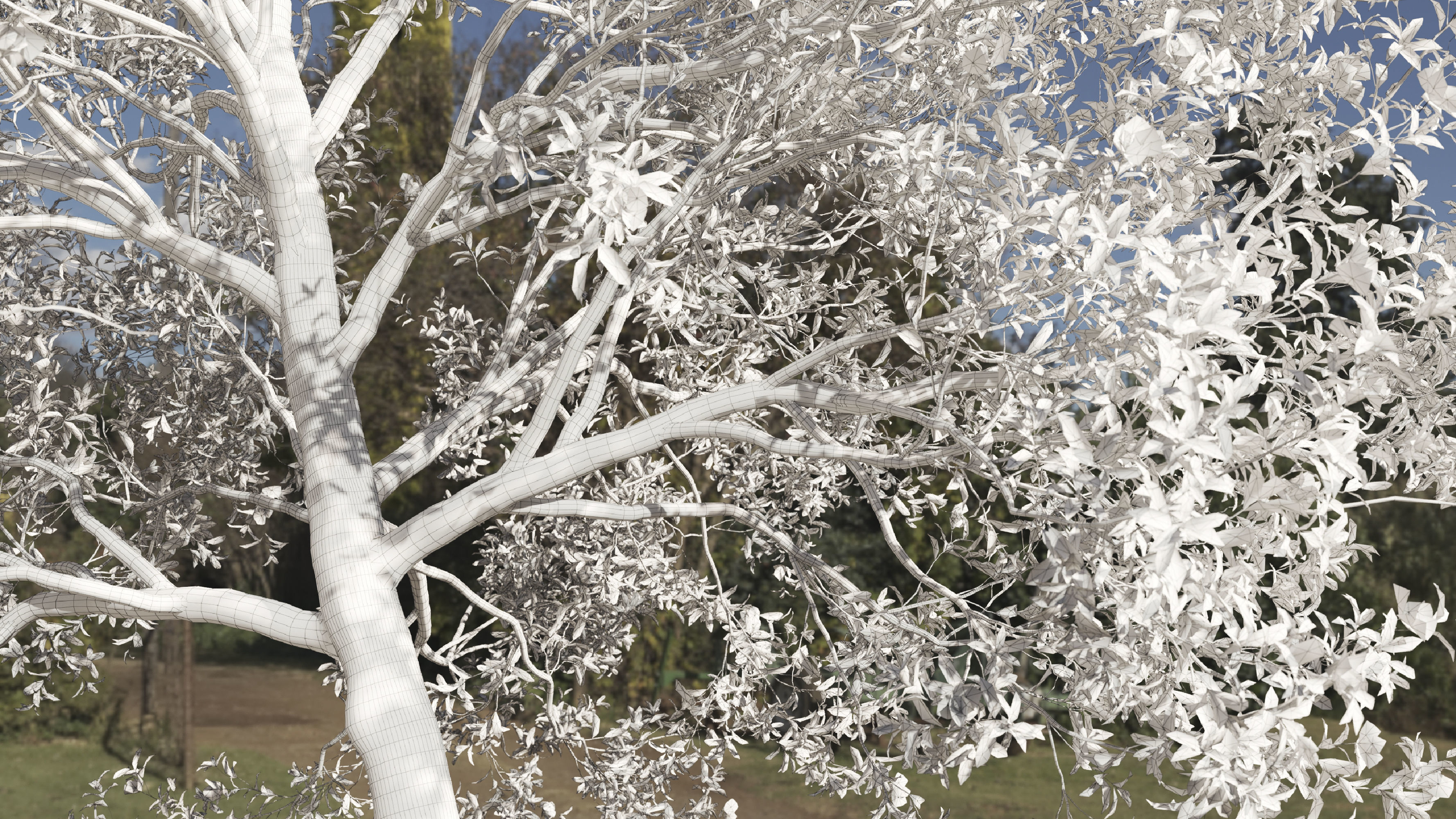 2 Michelia Maudiae Tree Set 3D model_8