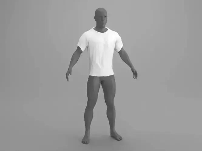 Regular T-shirt 3D model