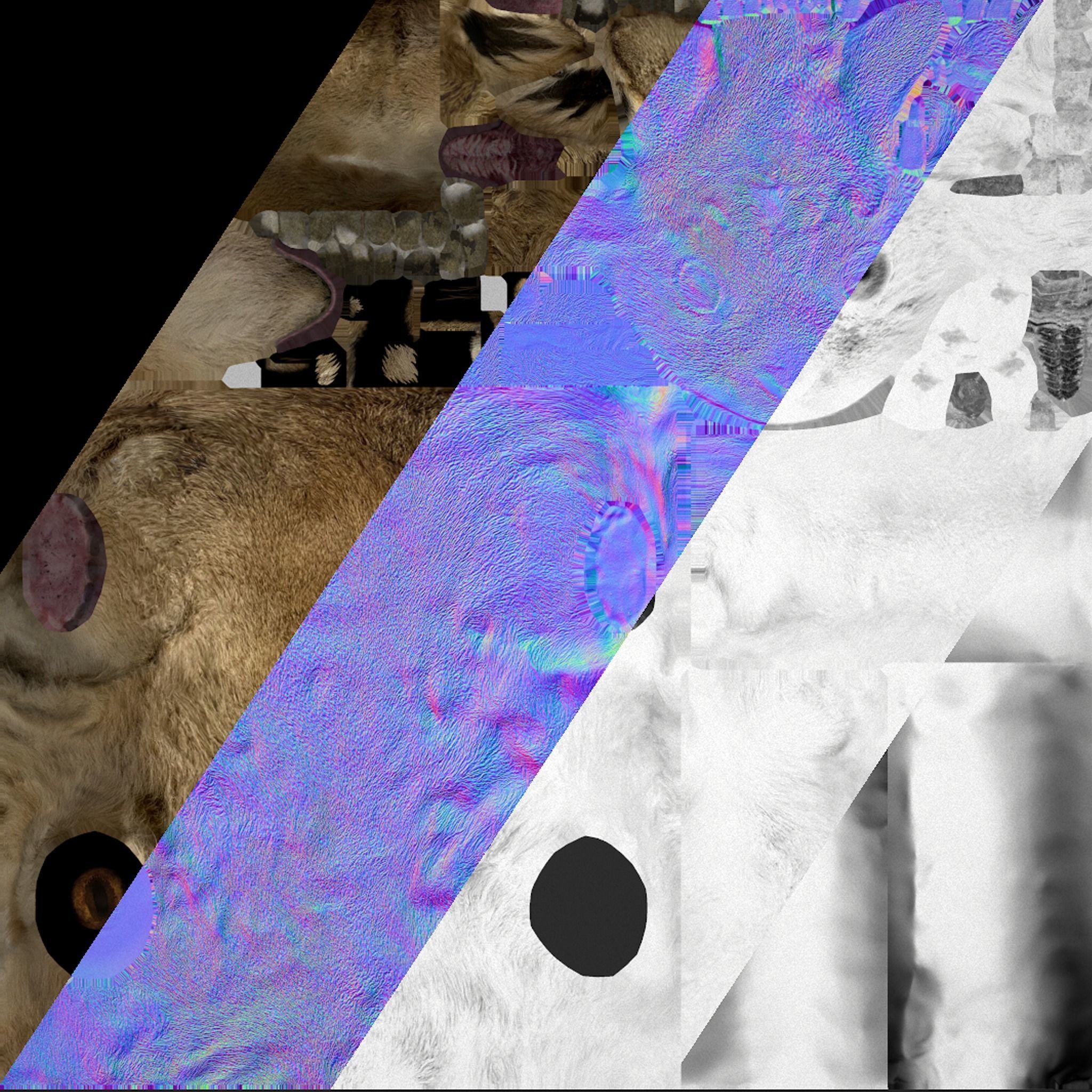 Deer and Crocodile Herbivore and Predator Low-poly 3D model_12