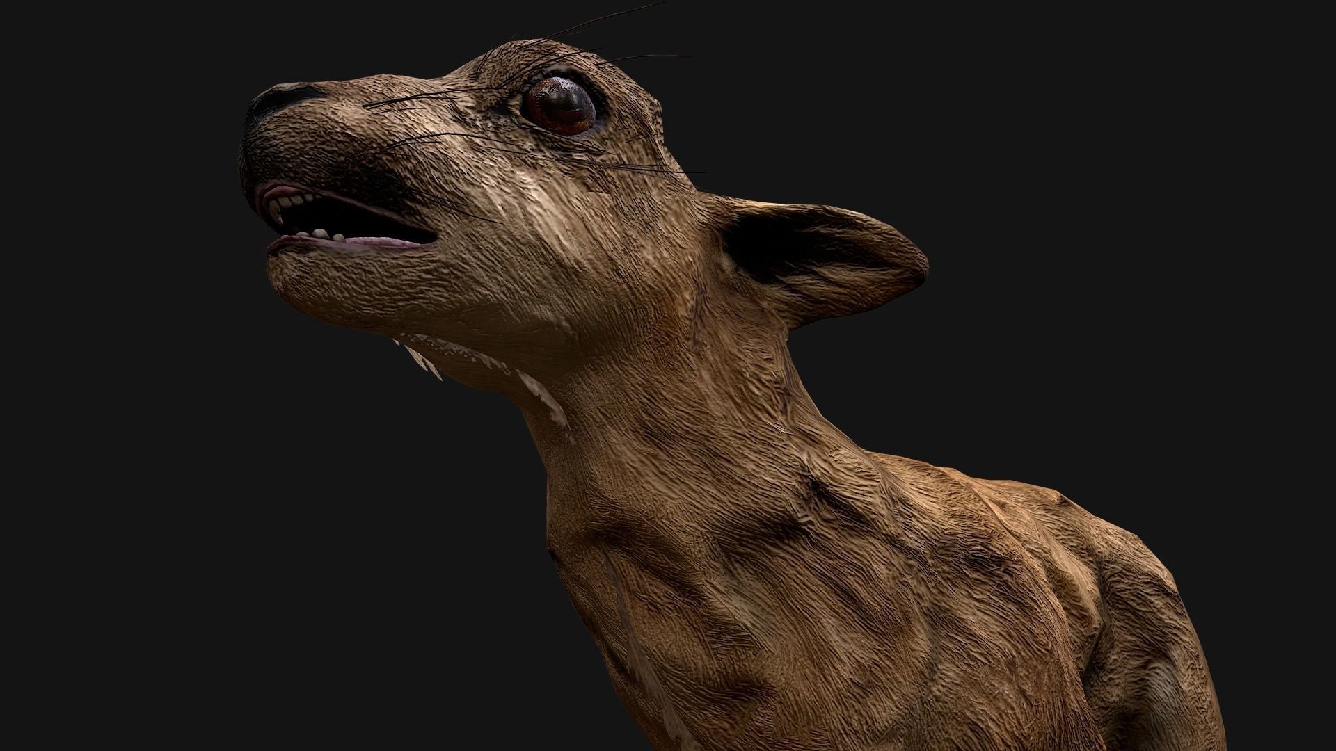 Deer and Crocodile Herbivore and Predator Low-poly 3D model_21