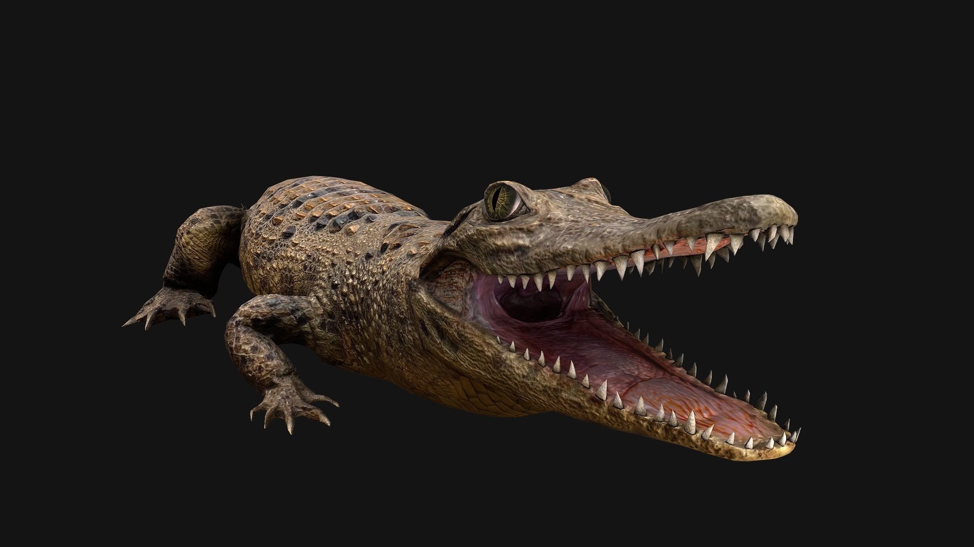 Deer and Crocodile Herbivore and Predator Low-poly 3D model_29