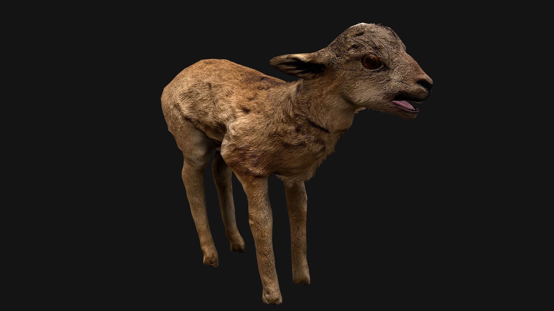 Deer and Crocodile Herbivore and Predator Low-poly 3D model_4