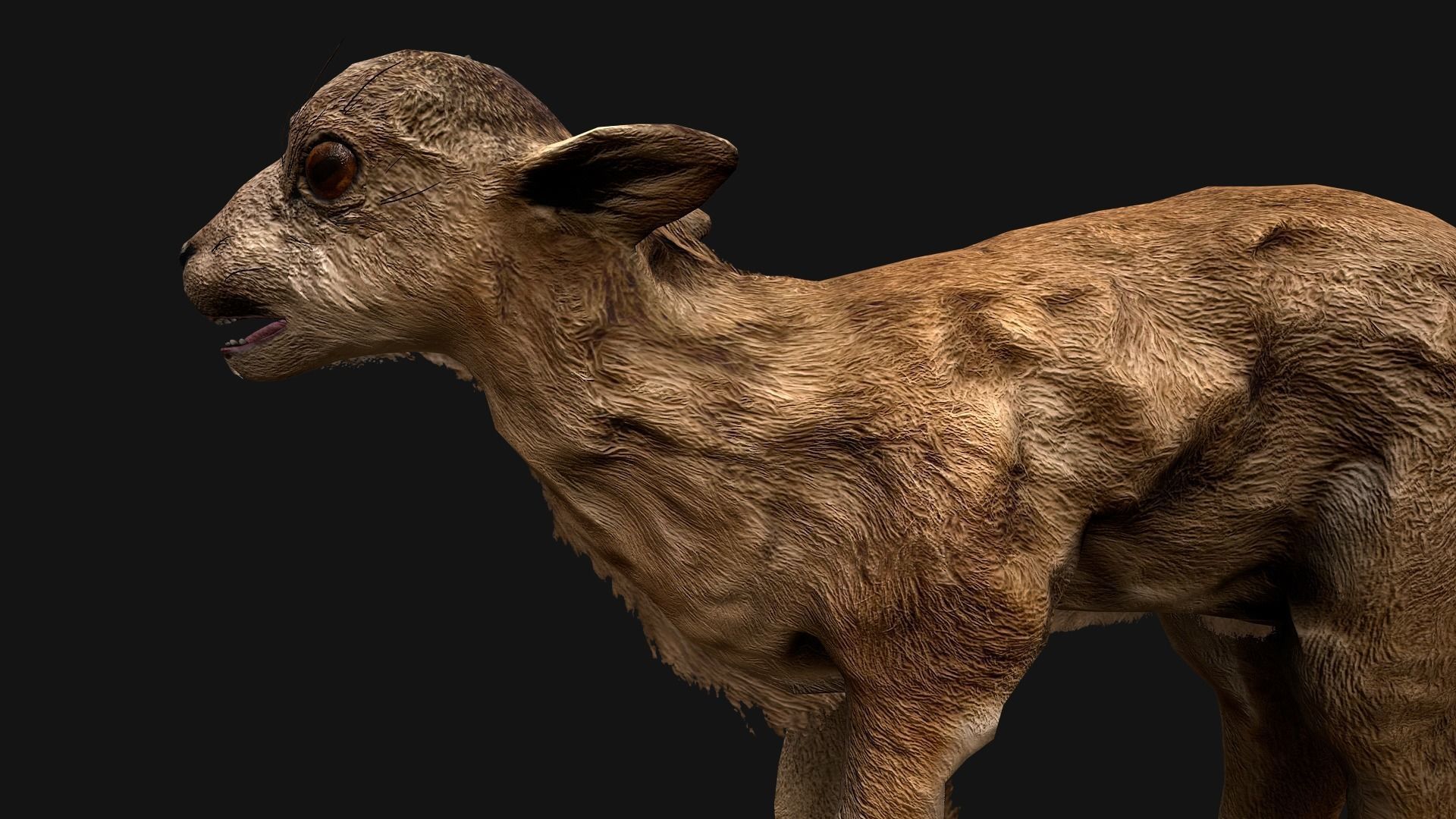 Deer and Crocodile Herbivore and Predator Low-poly 3D model_22