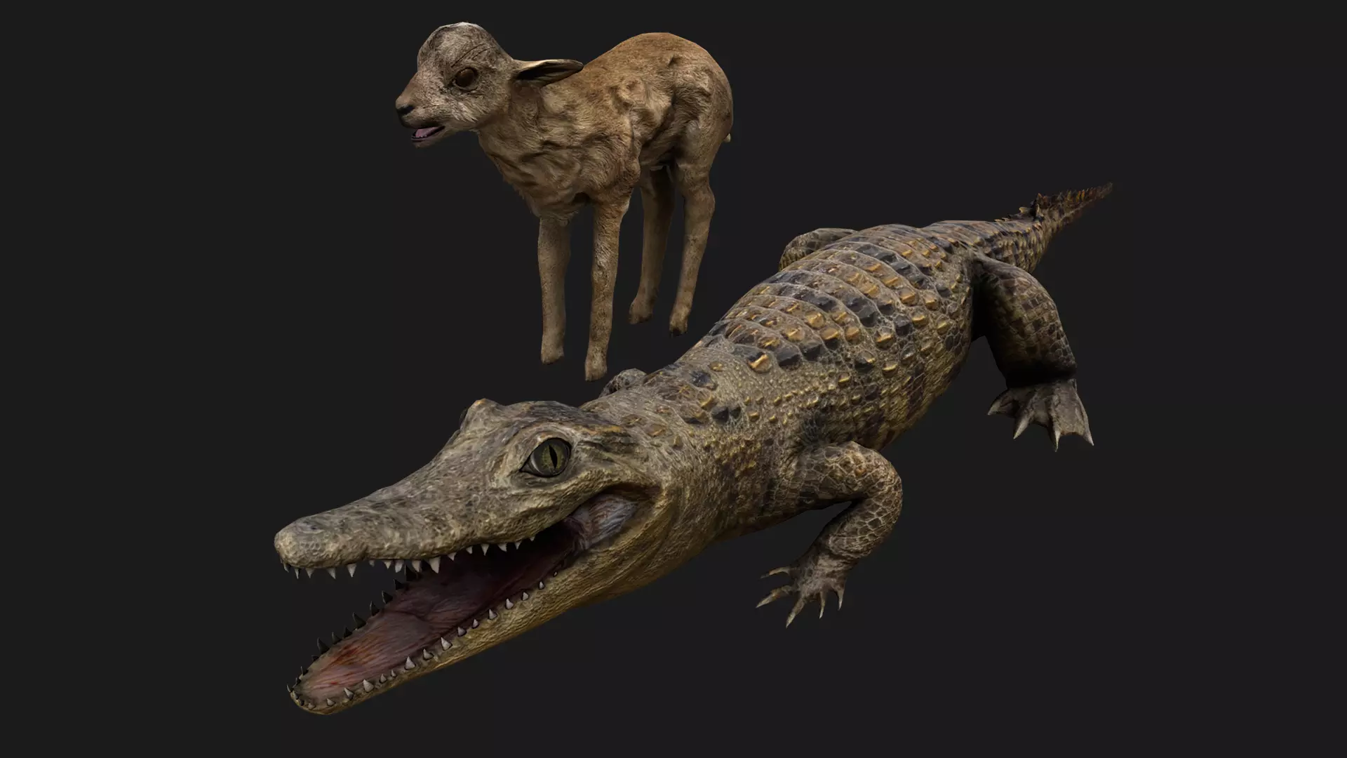 Deer and Crocodile Herbivore and Predator Low-poly 3D model_0