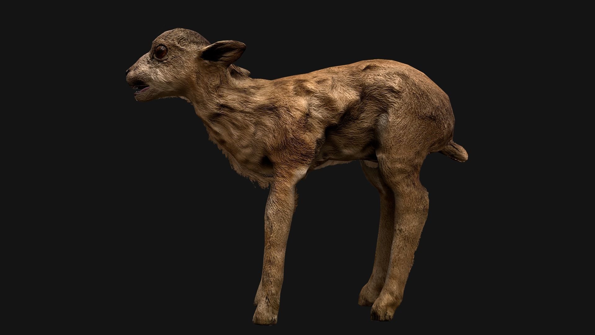 Deer and Crocodile Herbivore and Predator Low-poly 3D model_6