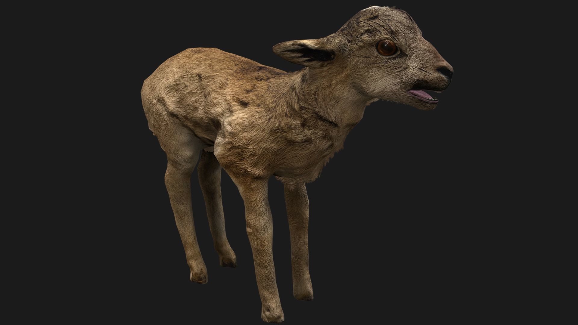 Deer and Crocodile Herbivore and Predator Low-poly 3D model_14