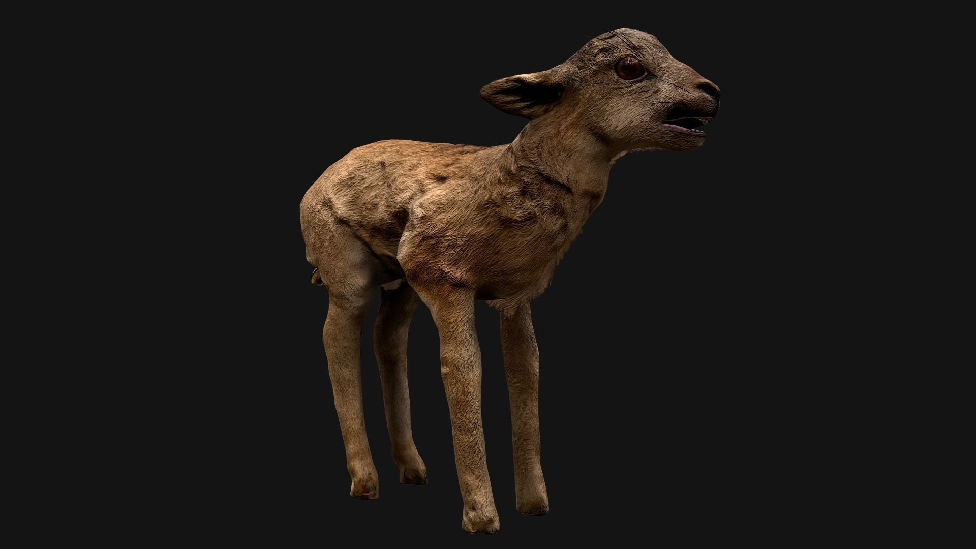 Deer and Crocodile Herbivore and Predator Low-poly 3D model_16