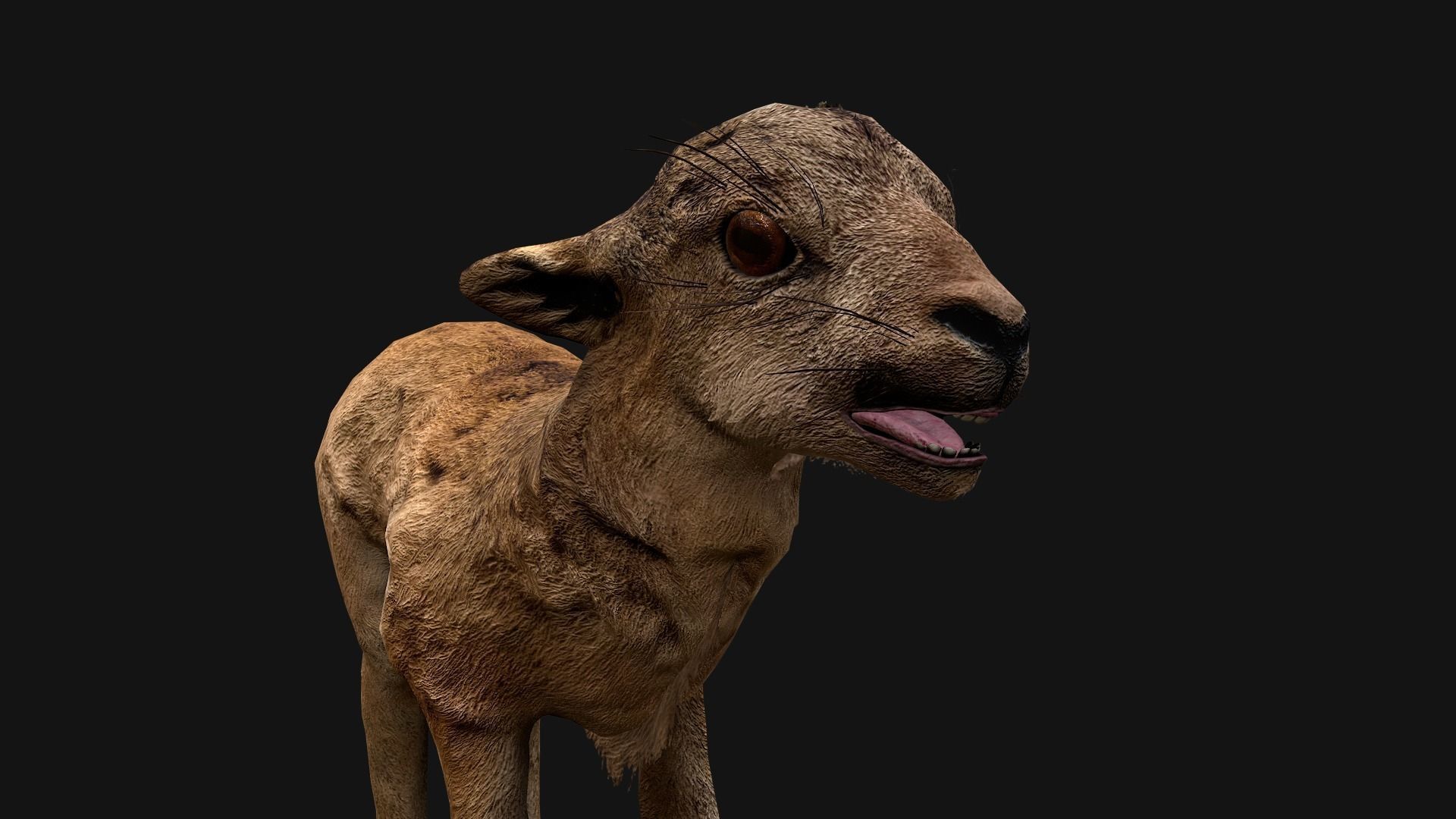 Deer and Crocodile Herbivore and Predator Low-poly 3D model_19