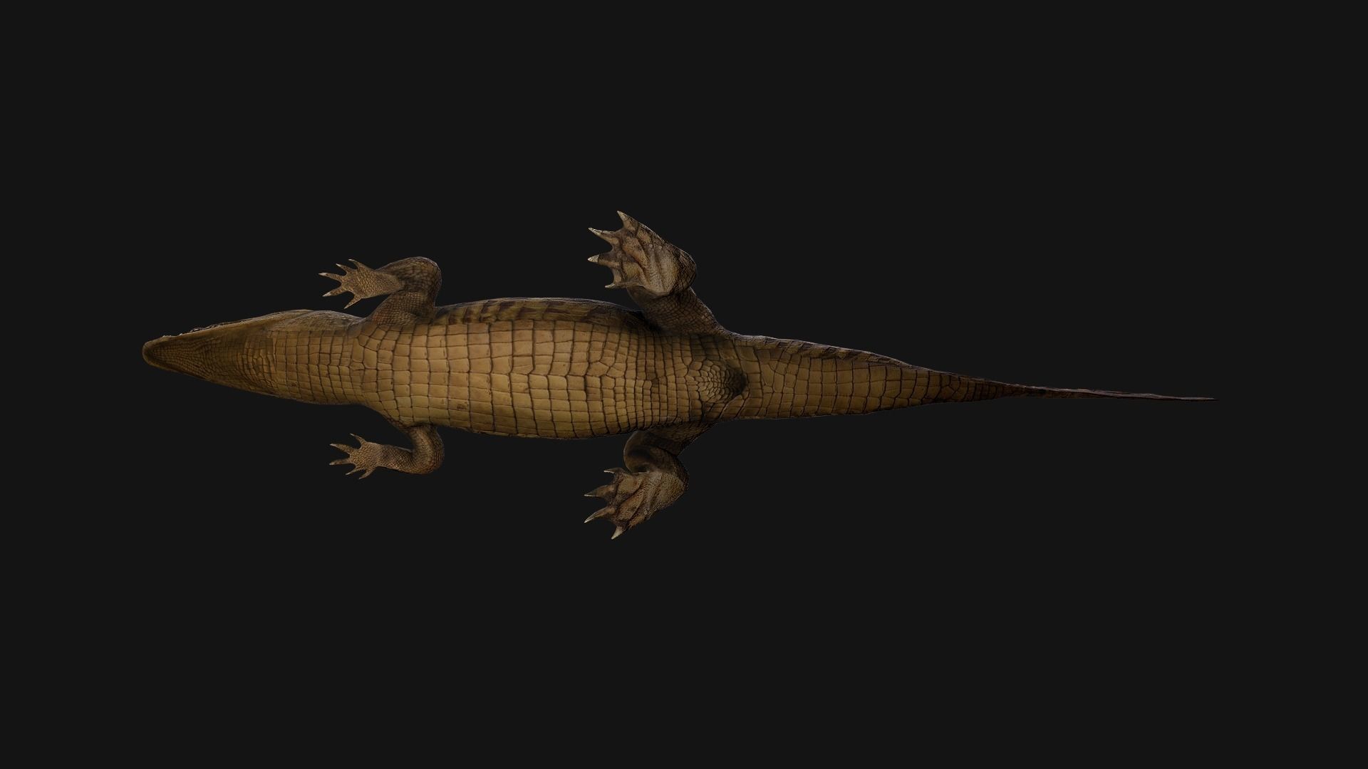 Deer and Crocodile Herbivore and Predator Low-poly 3D model_24