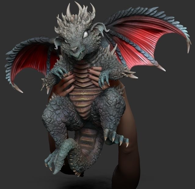 King baby dragon 3D model_13