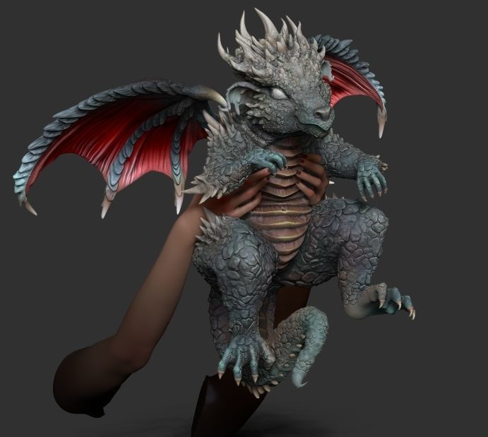 King baby dragon 3D model_15