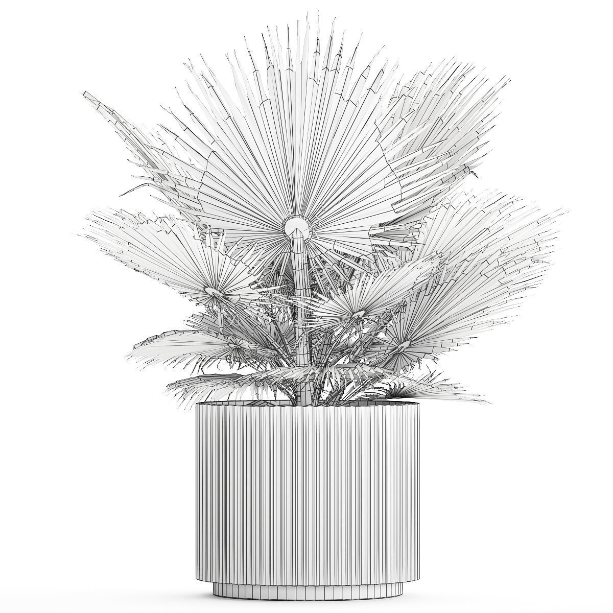 Beautiful fan palm for decoration in a flower pot 1275 3D model_11