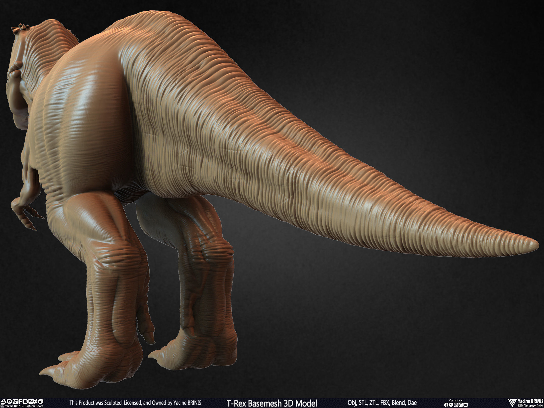 T-Rex Basemesh 3D Model 3D print model_12