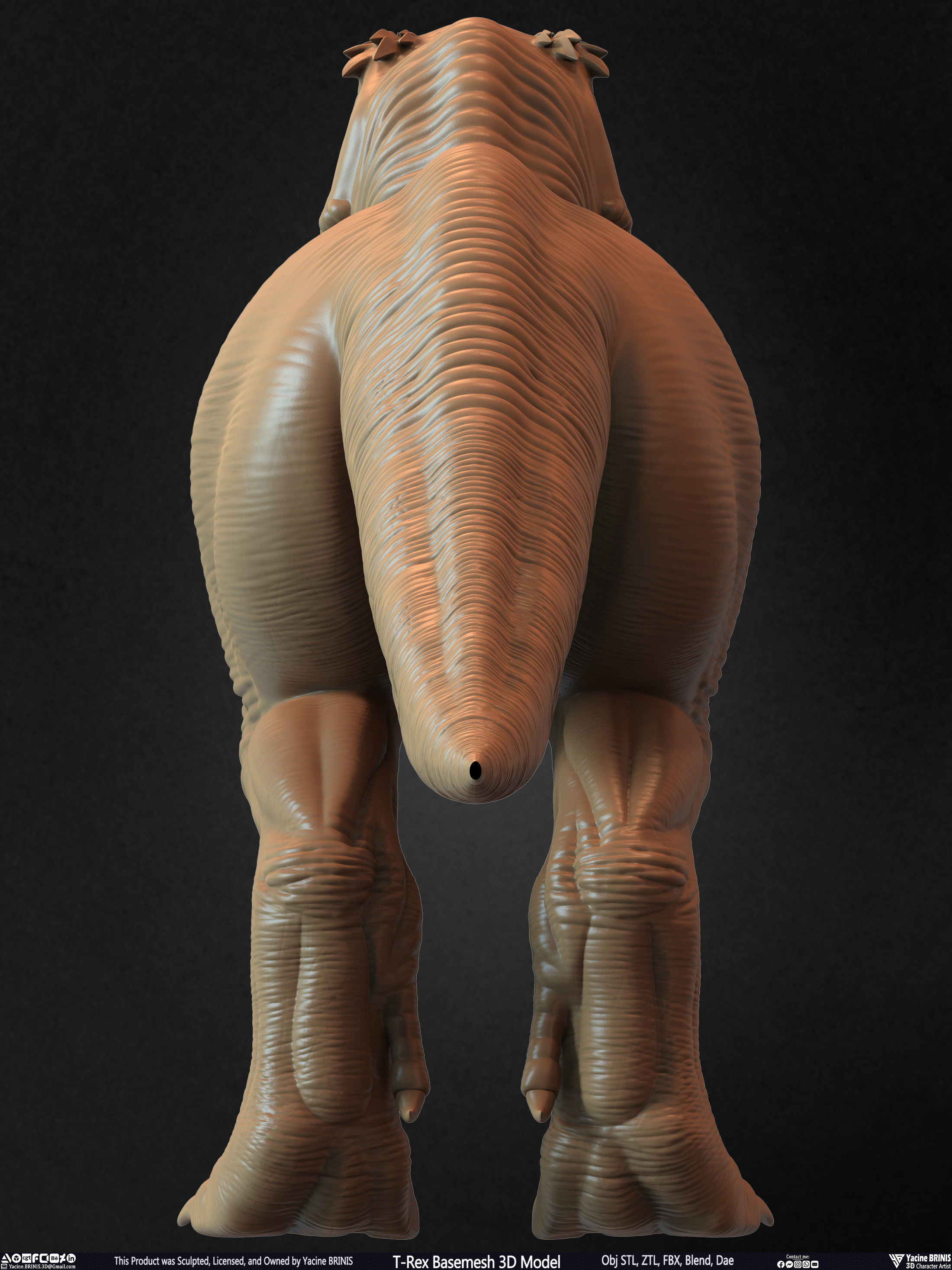 T-Rex Basemesh 3D Model 3D print model_11