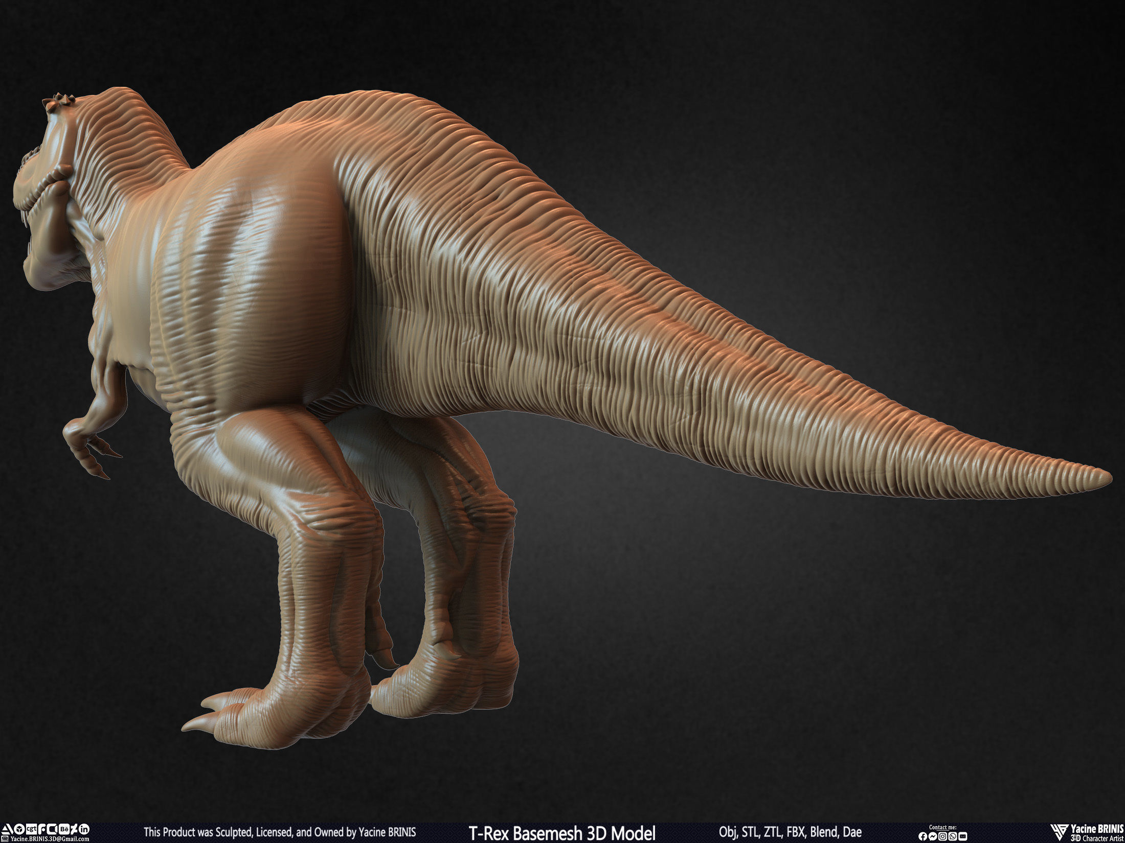 T-Rex Basemesh 3D Model 3D print model_13
