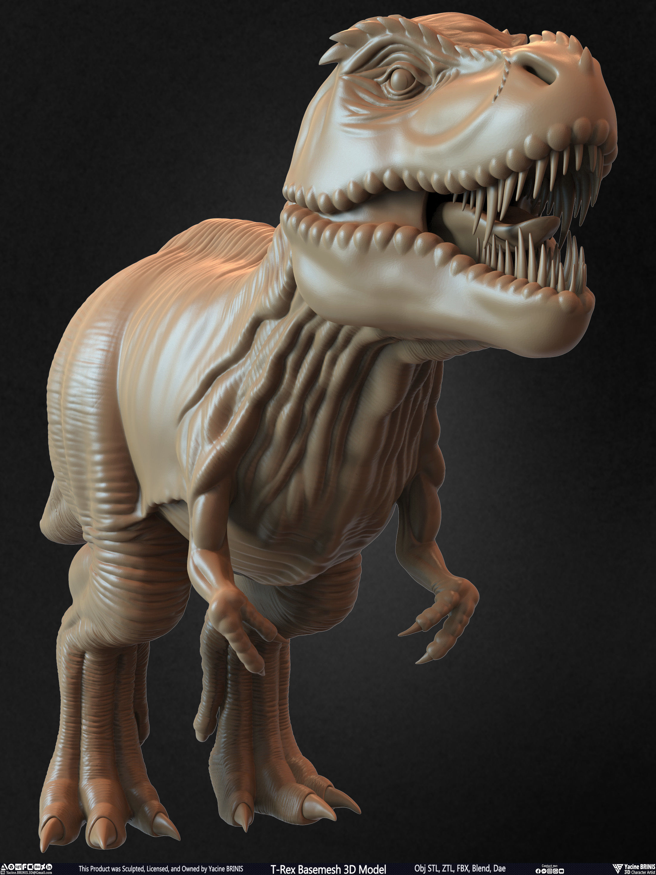 T-Rex Basemesh 3D Model 3D print model_23