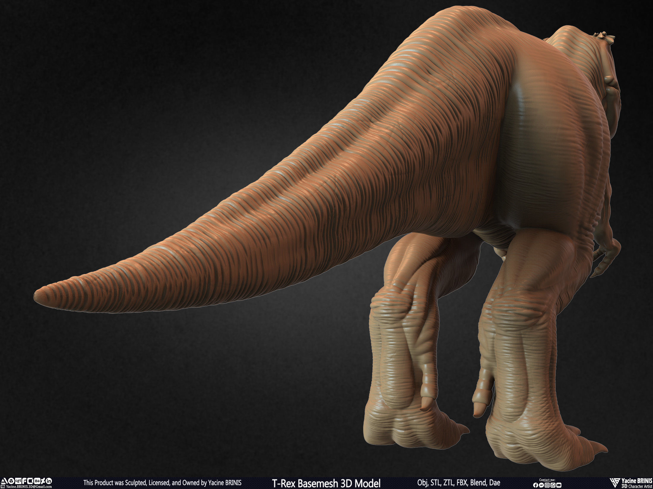 T-Rex Basemesh 3D Model 3D print model_10