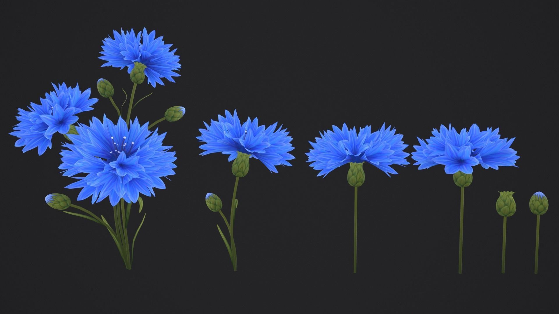 Stylized Cornflower and Wheat Low-poly 3D model_6