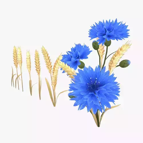 Stylized Cornflower and Wheat