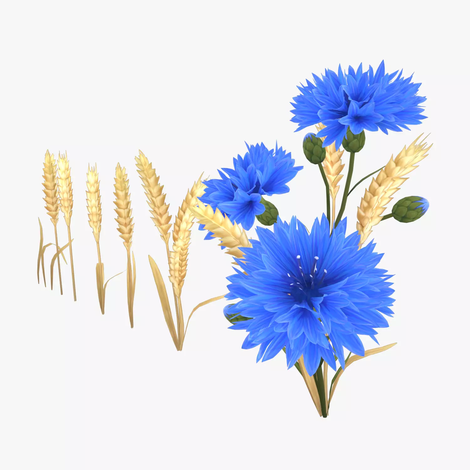 Stylized Cornflower and Wheat Low-poly 3D model_0