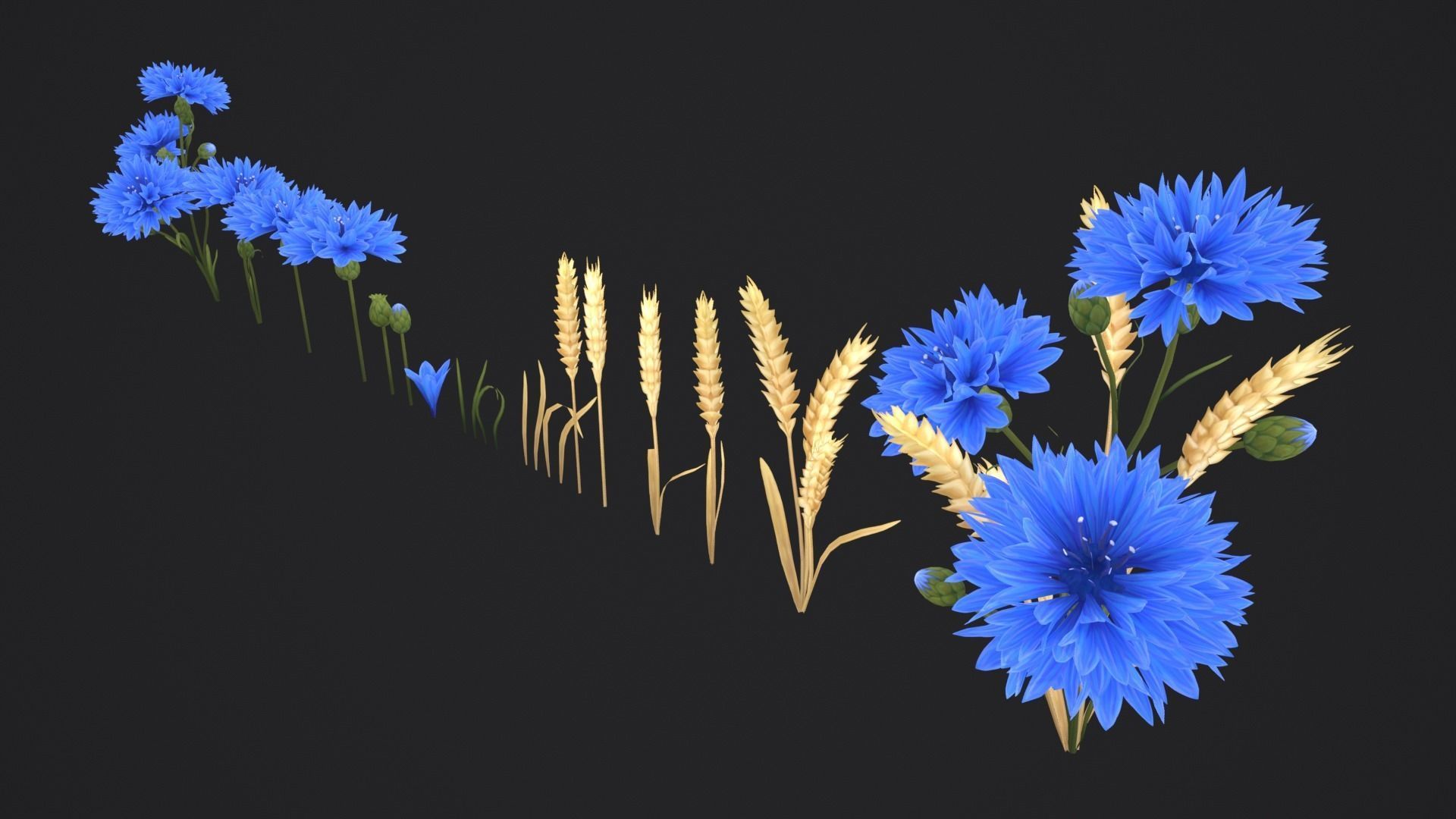 Stylized Cornflower and Wheat Low-poly 3D model_5